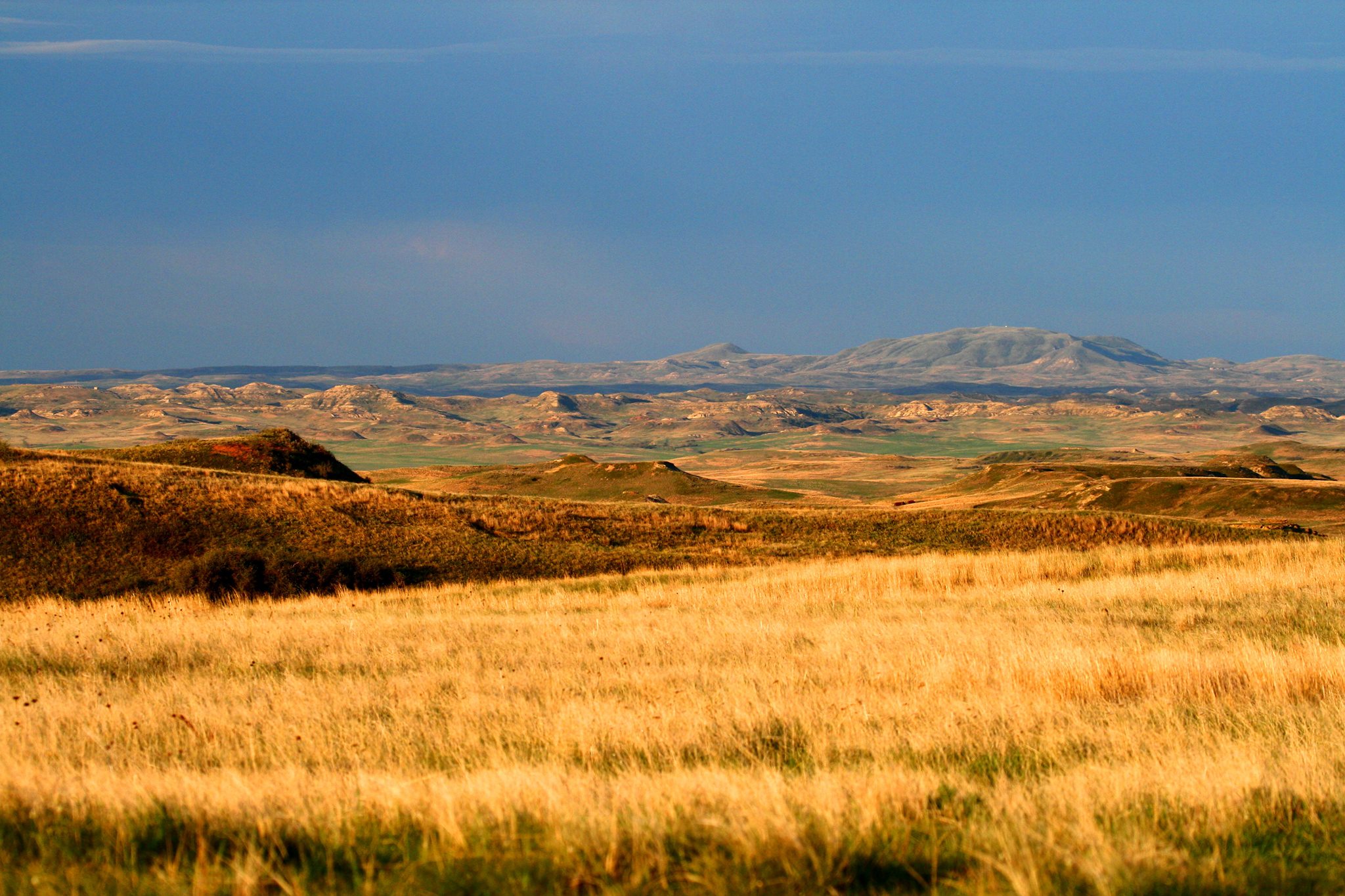 New $18 million Great Plains Grassland Fund to support ranchers and conserve native grasslands — KFGO
